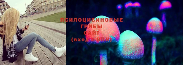 марки nbome Белокуриха