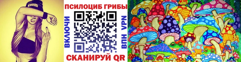 Купить где  Покачи  Галлюциногенные грибы GOLDEN TEACHER 